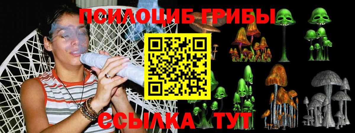 Псилоцибиновые грибы GOLDEN TEACHER  Вход с VPN  сколько стоит  Рузаевка  Галлюциногенные грибы Psilocybine cubensis 