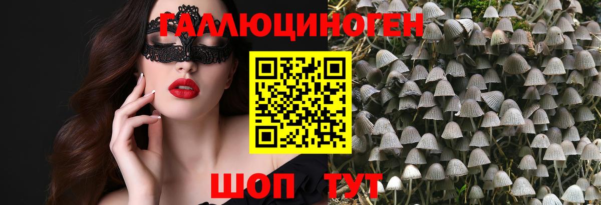 Псилоцибиновые грибы Psilocybe Рузаевка